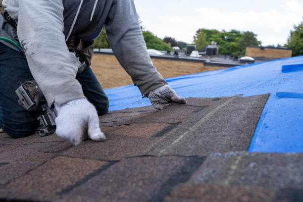 Best Roof Leak Repair  in Monroe North, WA